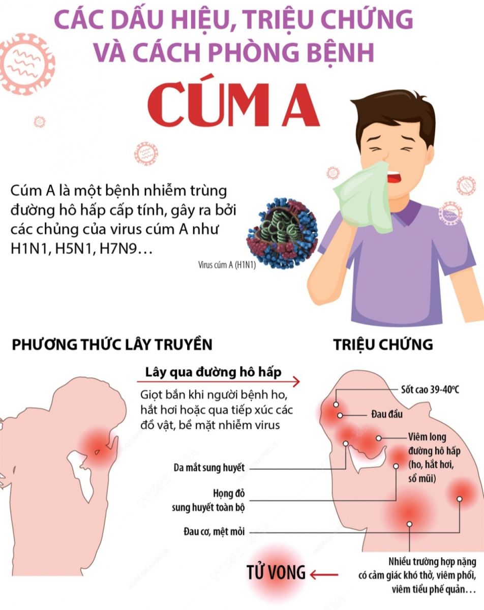 Các dấu hiệu và triệu chứng của cúm A